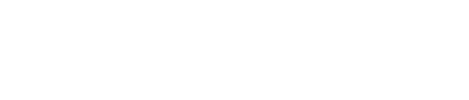 Nevada Trust Tansparent Logo